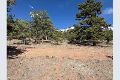 830 Cohonina Road, Hartsel, CO 80449 - Photo 3