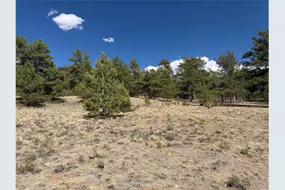 830 Cohonina Road, Hartsel, CO 80449 - Photo 17