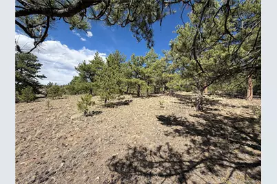 830 Cohonina Road, Hartsel, CO 80449 - Photo 5