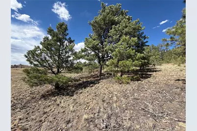 830 Cohonina Road, Hartsel, CO 80449 - Photo 11