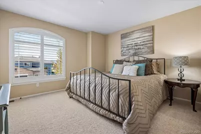 10602 Baneberry Street, Highlands Ranch, CO 80129 - Photo 23