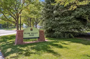 10602 Baneberry St, Highlands Ranch, CO 80129 - Photo 35