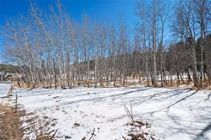 2222 Co Rd 72, Bailey, CO 80421 - Photo 45