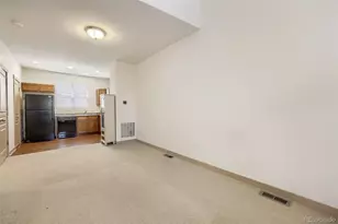 10556 E 29th Dr, Denver, CO 80238 - Photo 9