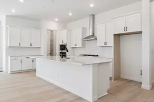 1668 Green Fern Pt, Castle Rock, CO 80104 - Photo 5