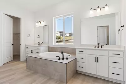 1668 Green Fern Point, Castle Rock, CO 80104 - Photo 11