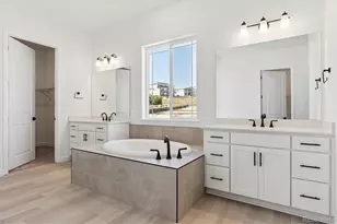 1668 Green Fern Pt, Castle Rock, CO 80104 - Photo 11