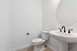 1668 Green Fern Pt, Castle Rock, CO 80104 - Photo 15