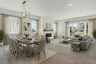 1668 Green Fern Pt, Castle Rock, CO 80104 - Photo 9