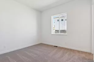 1668 Green Fern Pt, Castle Rock, CO 80104 - Photo 13