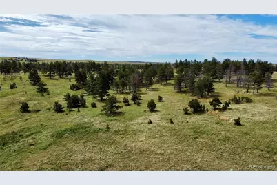 32041 Cattle Circle, Ramah, CO 80832 - Photo 9