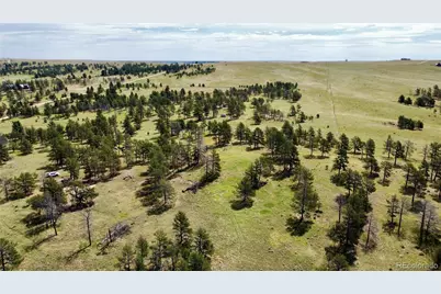 32041 Cattle Circle, Ramah, CO 80832 - Photo 7
