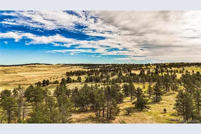 32041 Cattle Circle, Ramah, CO 80832 - Photo 11