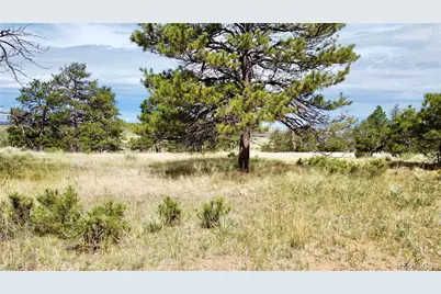 32041 Cattle Circle, Ramah, CO 80832 - Photo 3