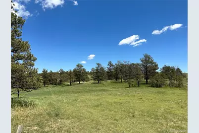 32041 Cattle Circle, Ramah, CO 80832 - Photo 13