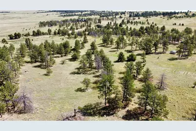 32041 Cattle Circle, Ramah, CO 80832 - Photo 1