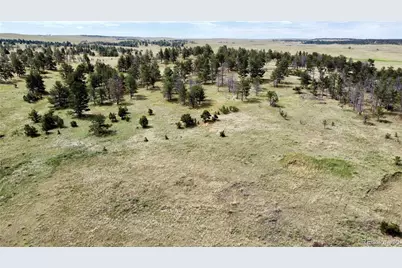 32041 Cattle Circle, Ramah, CO 80832 - Photo 5