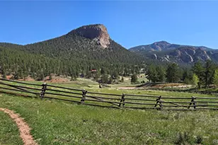 497 Woodside Dr, Pine, CO 80470 - Photo 49
