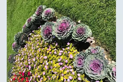 605 S Alton Way #8D, Denver, CO 80247 - Photo 45