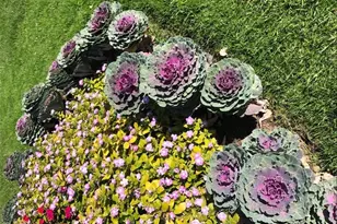 605 S Alton Way, Denver, CO 80247 - Photo 45