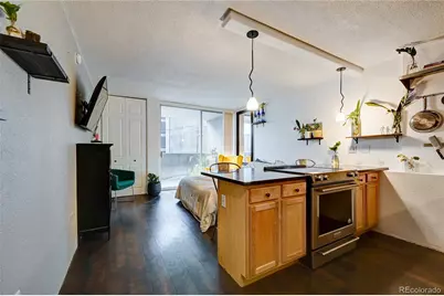 909 N Logan Street #3C, Denver, CO 80203 - Photo 3