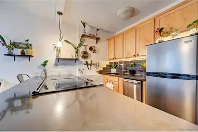 909 N Logan Street #3C, Denver, CO 80203 - Photo 5