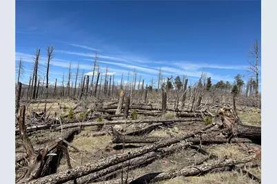 Lot 1039 Forbes Park Ranch, Fort Garland, CO 81133 - Photo 13
