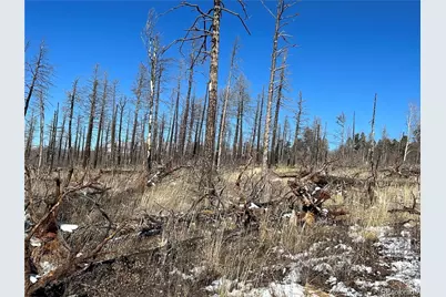 Lot 1039 Forbes Park Ranch, Fort Garland, CO 81133 - Photo 3