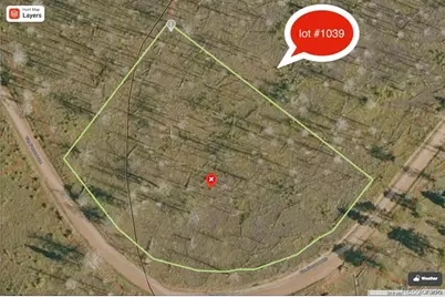 Lot 1039 Forbes Park Ranch, Fort Garland, CO 81133 - Photo 7