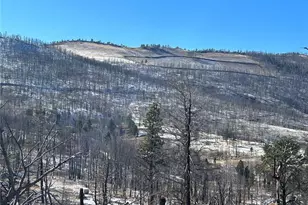 Lot 1039 Forbes Park Ranch, Fort Garland, CO 81133 - Photo 1