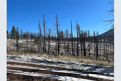 Lot 1039 Forbes Park Ranch, Fort Garland, CO 81133 - Photo 5