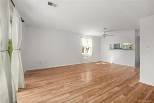 1141 S Gilbert St, Castle Rock, CO 80104 - Photo 17