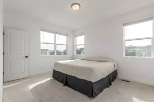 7917 Yampa River Ave, Littleton, CO 80125 - Photo 13