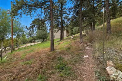 364 Sleepy Hollow Drive, Bailey, CO 80421 - Photo 43