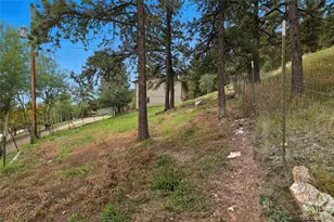 364 Sleepy Hollow Dr, Bailey, CO 80421 - Photo 43