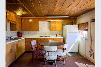 4100 Usfs 515 Road #286, Creede, CO 81130 - Photo 3