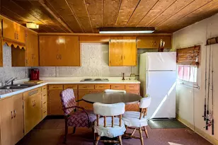 4100 Usfs 515 Road, Creede, CO 81130 - Photo 3