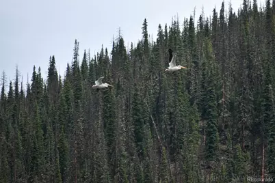 4100 Usfs 515 Road #286, Creede, CO 81130 - Photo 21