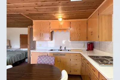 4100 Usfs 515 Road #286, Creede, CO 81130 - Photo 7