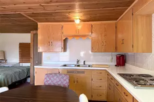 4100 Usfs 515 Road, Creede, CO 81130 - Photo 7