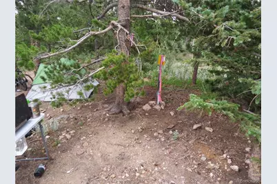 Peak To Peak Hwy, Nederland, CO 80466 - Photo 19