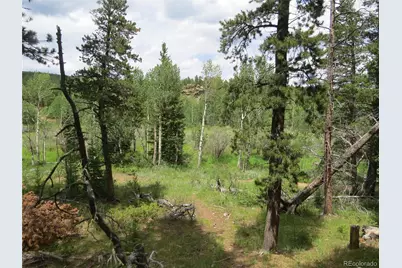 Peak To Peak Hwy, Nederland, CO 80466 - Photo 11