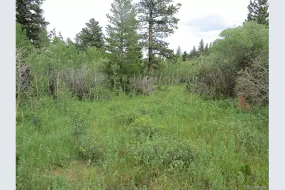 Peak To Peak Hwy, Nederland, CO 80466 - Photo 13