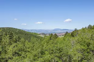 9525 S State Hwy 67, Divide, CO 80814 - Photo 7