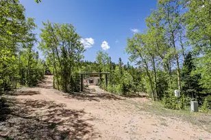 9525 S State Hwy 67, Divide, CO 80814 - Photo 37