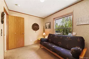 9525 S State Hwy 67, Divide, CO 80814 - Photo 21