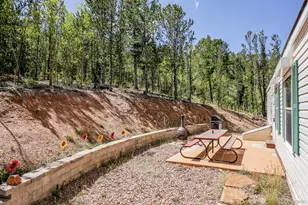 9525 S State Hwy 67, Divide, CO 80814 - Photo 23