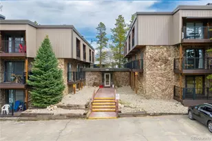80 Co Rd 8500, Fraser, CO 80442 - Photo 5