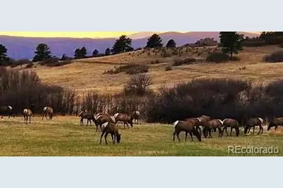 4363 Chateau Ridge Lane, Castle Rock, CO 80108 - Photo 25