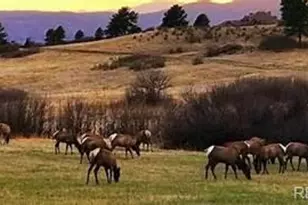4363 Chateau Ridge Ln, Castle Rock, CO 80108 - Photo 25